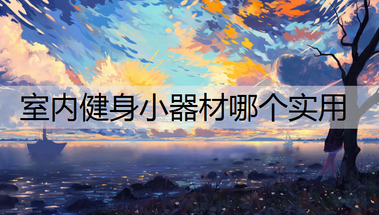 室内健身小器材哪个实用