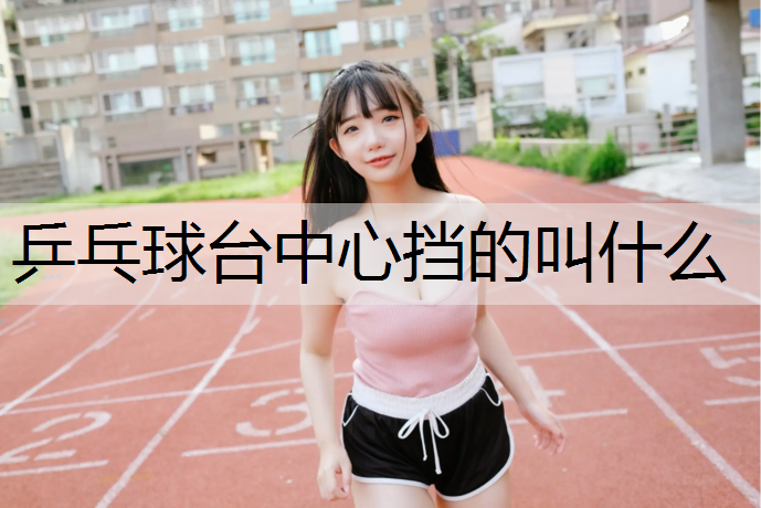 乒乓球台中心挡的叫什么