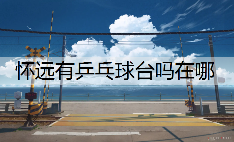 怀远有乒乓球台吗在哪