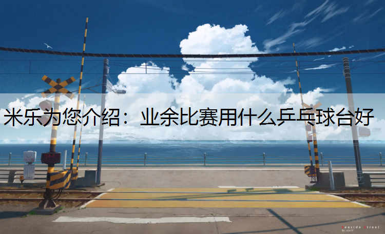 业余比赛用什么乒乓球台好